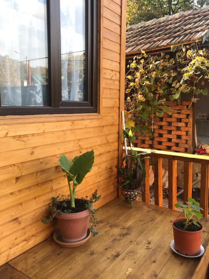 Marine'S Guest House Ananuri Exterior photo